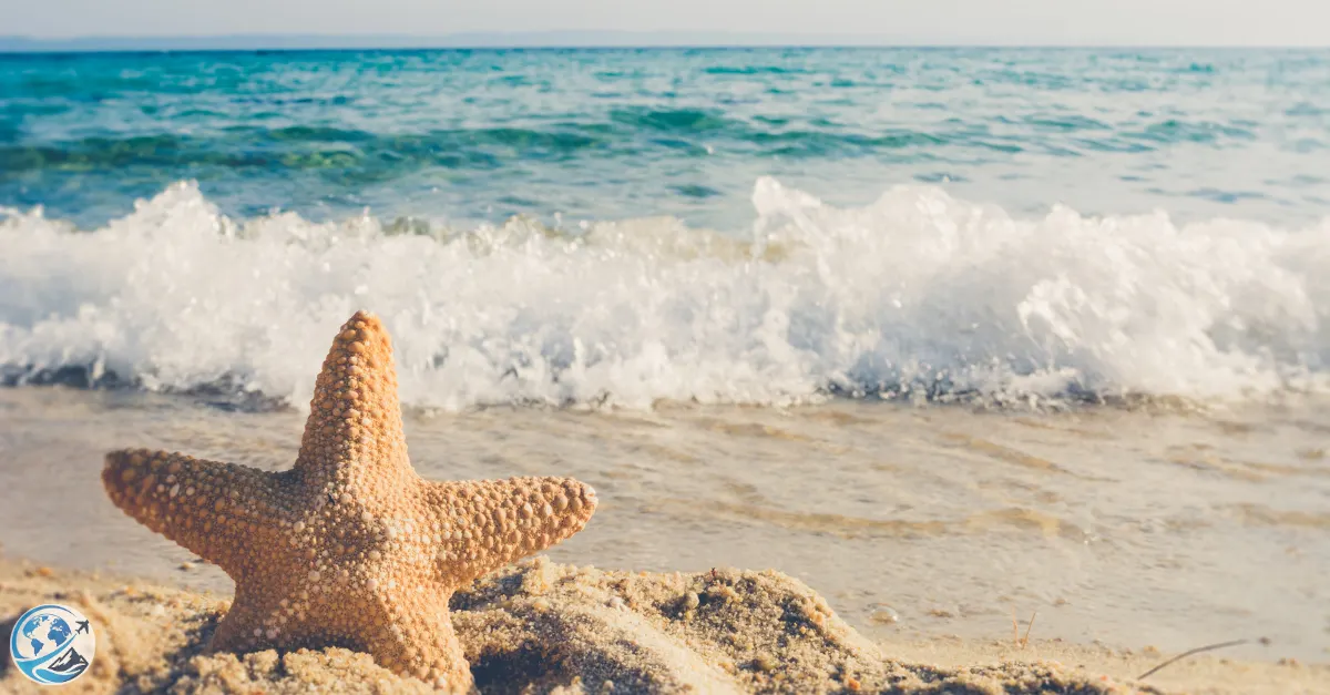 The Best Beaches In The World 2024