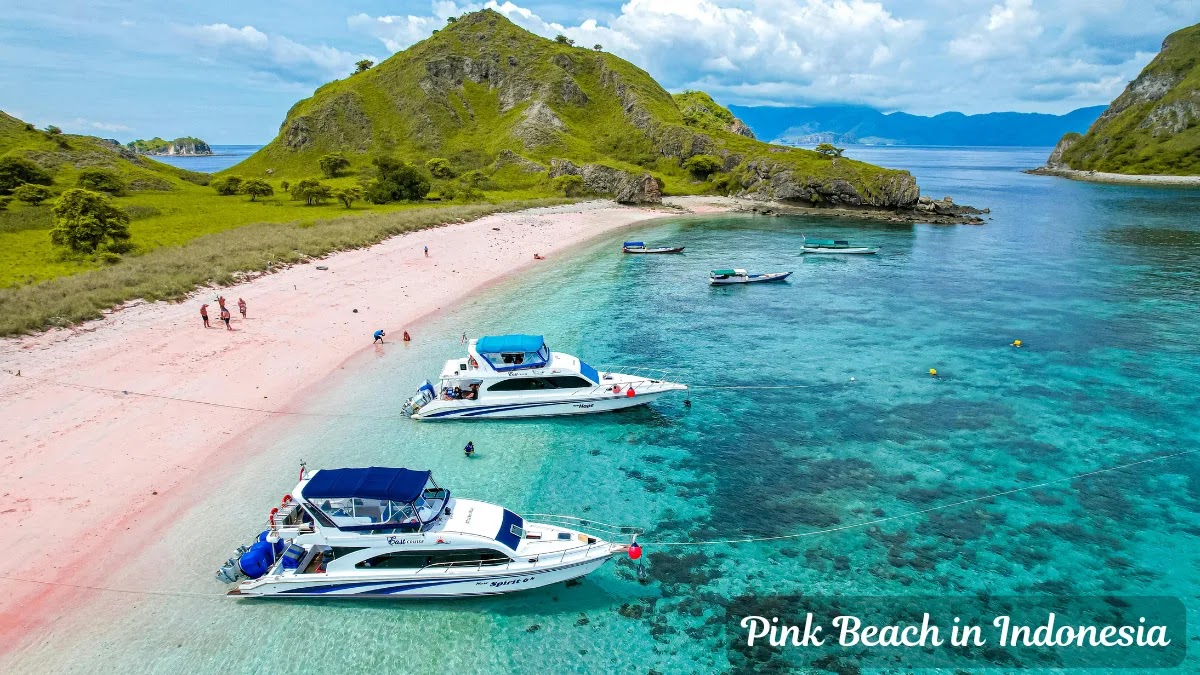 Pink Beach in Indonesia: a magical paradise with a unique color Pink Beach in Indonesia: a magical paradise with a unique color